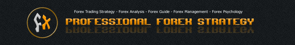 PROFESSIONAL FOREX STRATEGY