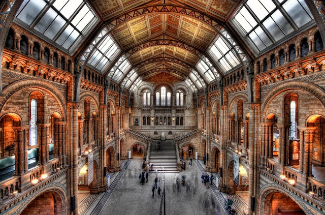 Natural History Museum в Лондоне Natural History Museum в Лондоне