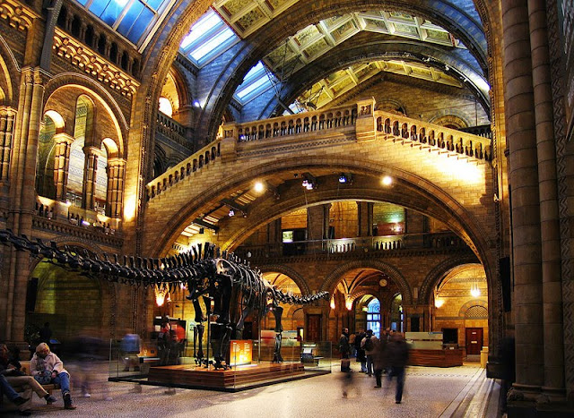  Natural History Museum в Лондоне