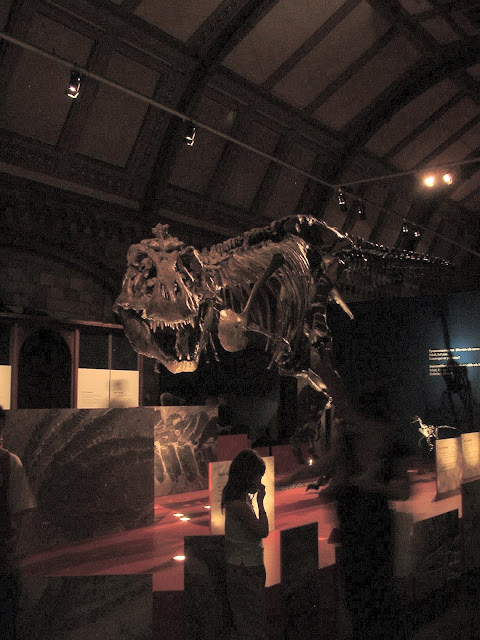  Natural History Museum в Лондоне