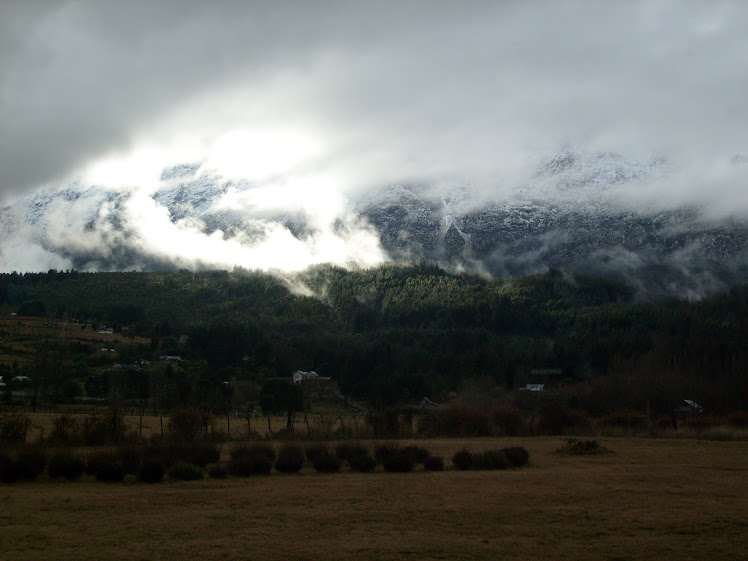 desde mi ventana