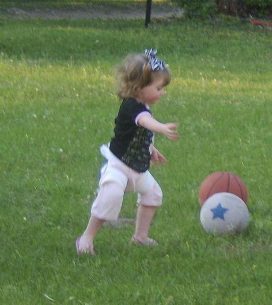 Pure Joy Rhino Cruiser Brace