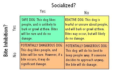 Puppy Socialization Chart