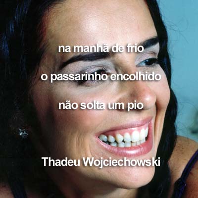 [rogeria3-close2.jpg]