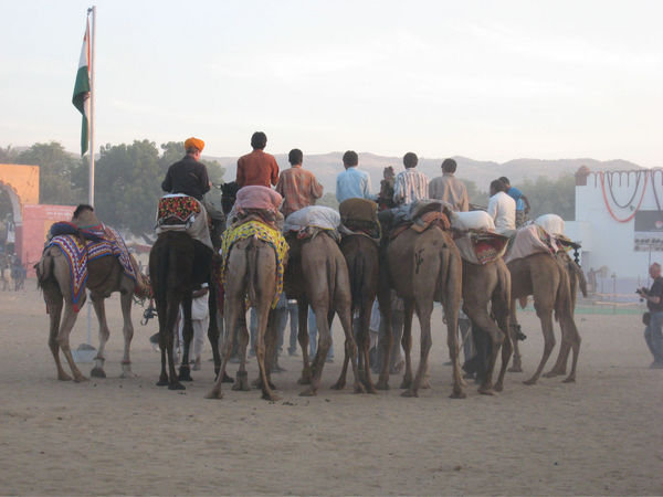 [pushkar-fair-camel-race-photo.jpg]