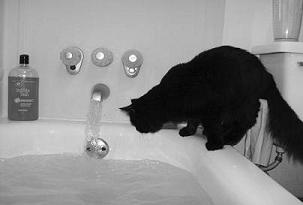 I see, running water.  Intriguing!!!