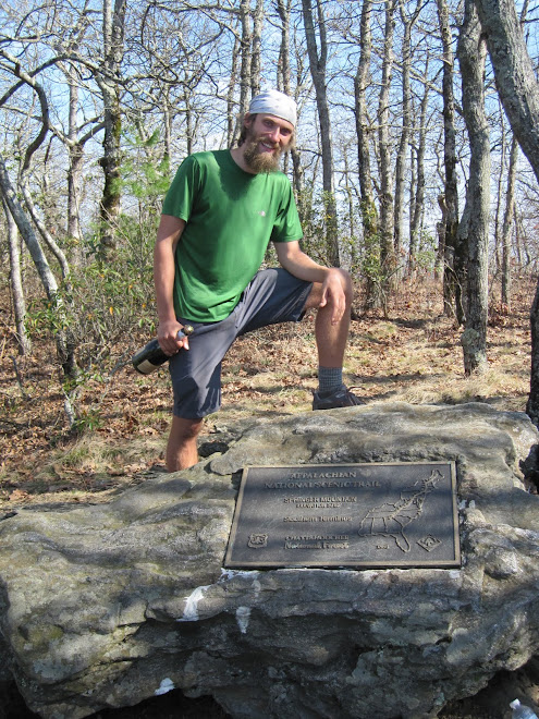 Springer Mountain, Georgia  November 21, 2009