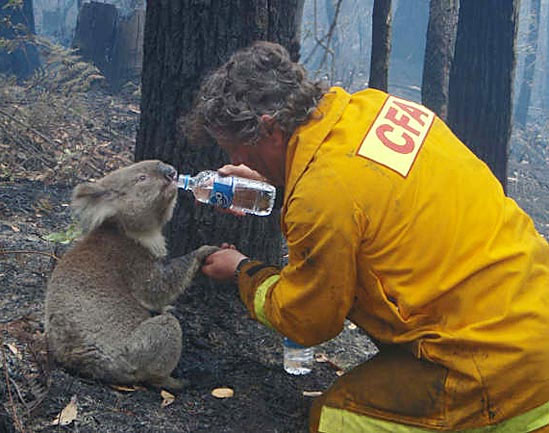 [australia1.jpg]