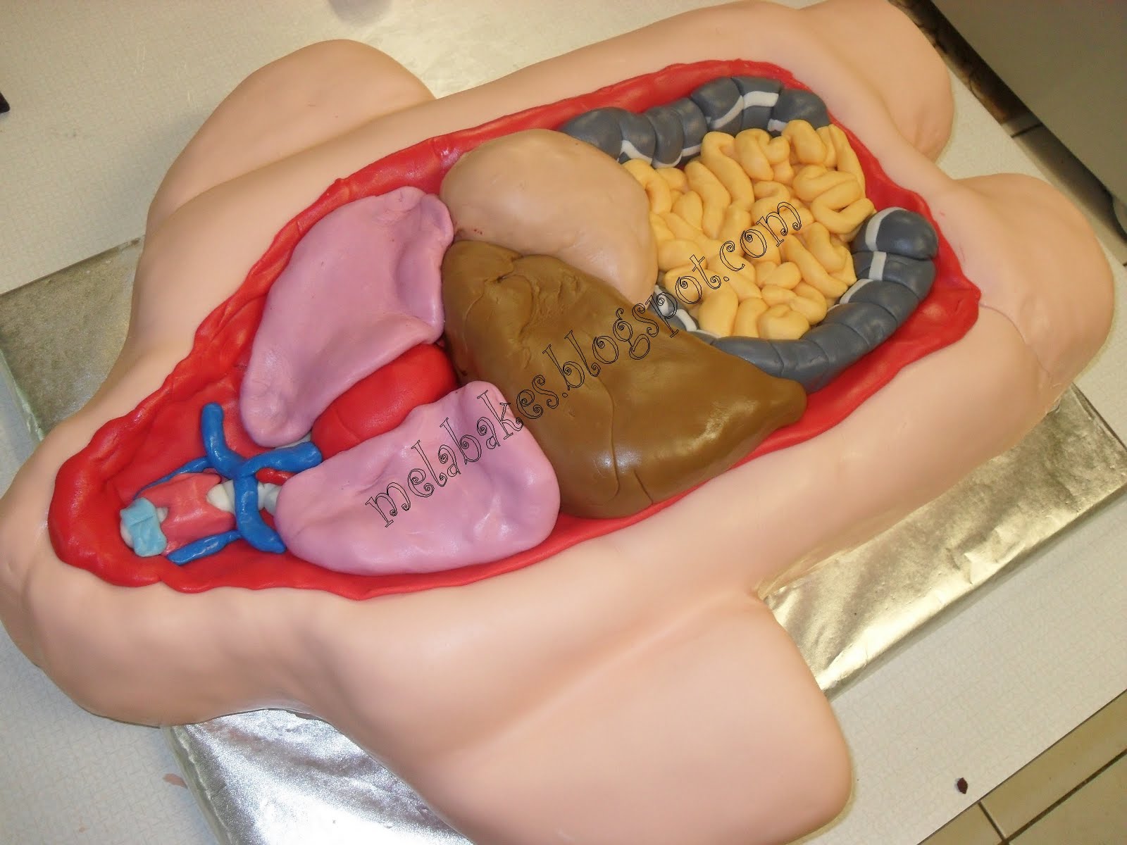 Cake Anatomy