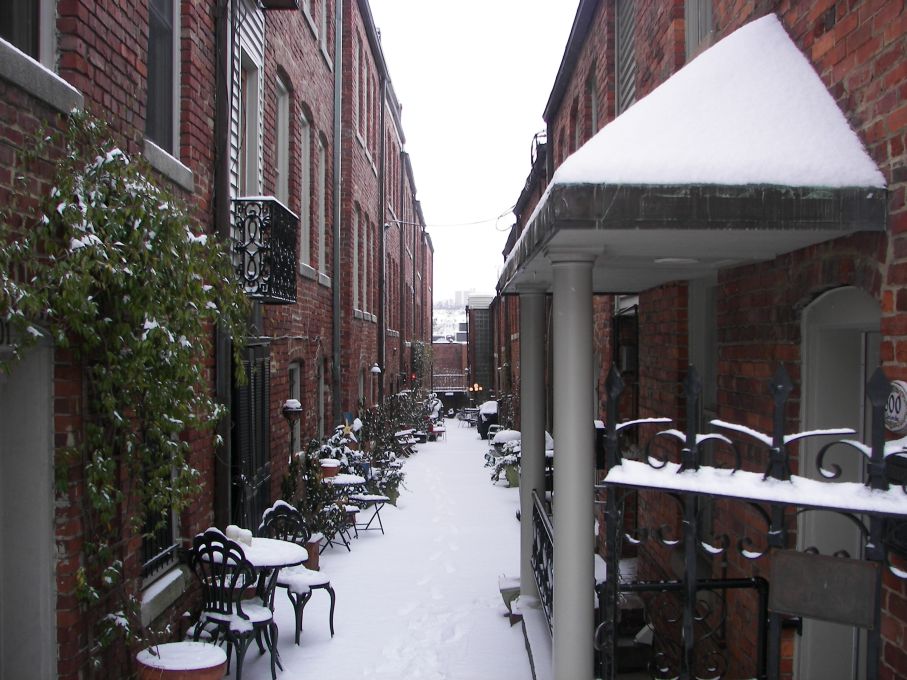 Surviving the Snow in Downtown Knoxville without a Grocery Store