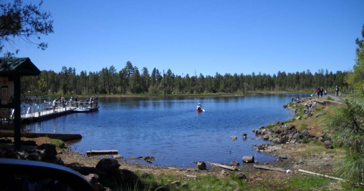 Moms Little Run Away Woodland Lake Park