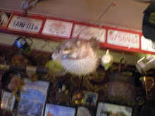 Blowfish in Kinvarra Pub