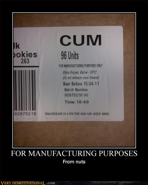 For Manufacturing Purposes