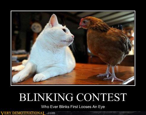 Blinking Contest
