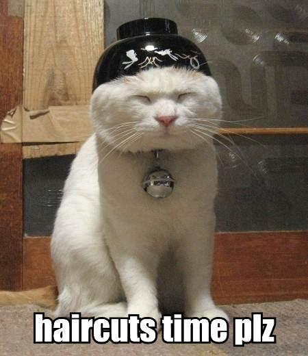 cute quotes and sayings about life cute quotes and sayings about love and life. cute quotes and sayings about life