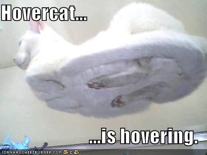 Hovercat... ...is hovering.