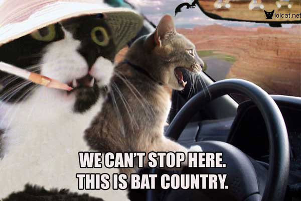 We Can't Stop Here.  This is Bat Country