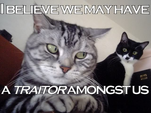 I+Believe+We+May+Have+a+Traitor+Amongst+Us+-+lolcats.jpg