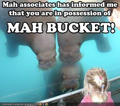 Mah associates has informed me that you are in possession of MAH BUCKET!