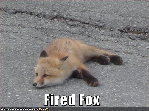 Fired Fox