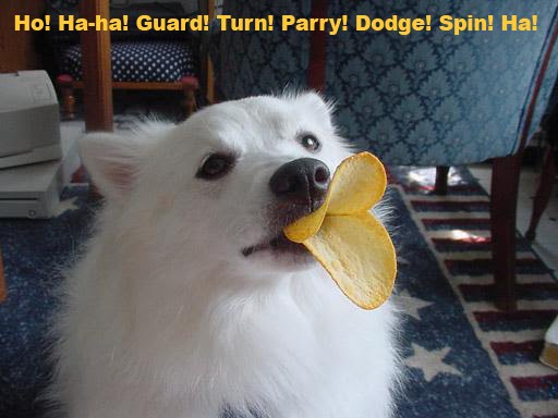 Ho! Ha-ha! Guard! Turn! Parry! Dodge! Spin! Ha!