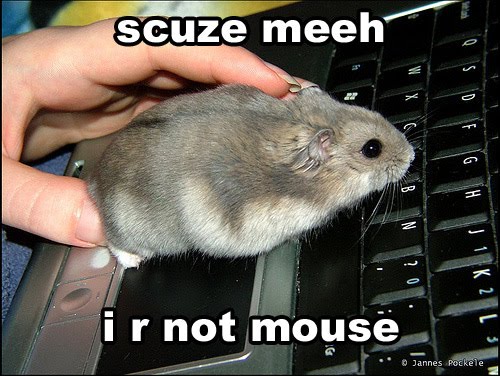 scuze meeh i r not mouse