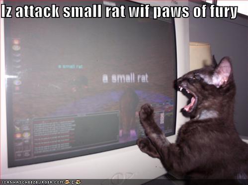 Iz attack small rat wif paws of fury