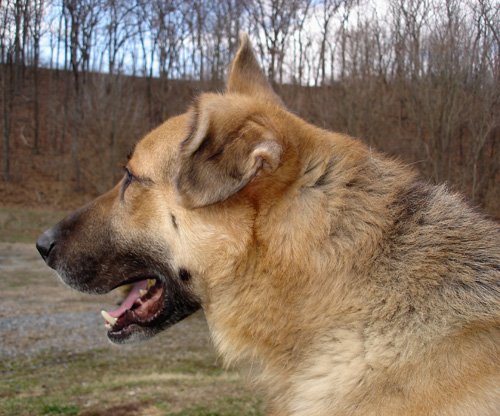 [Monty+profile.JPG]