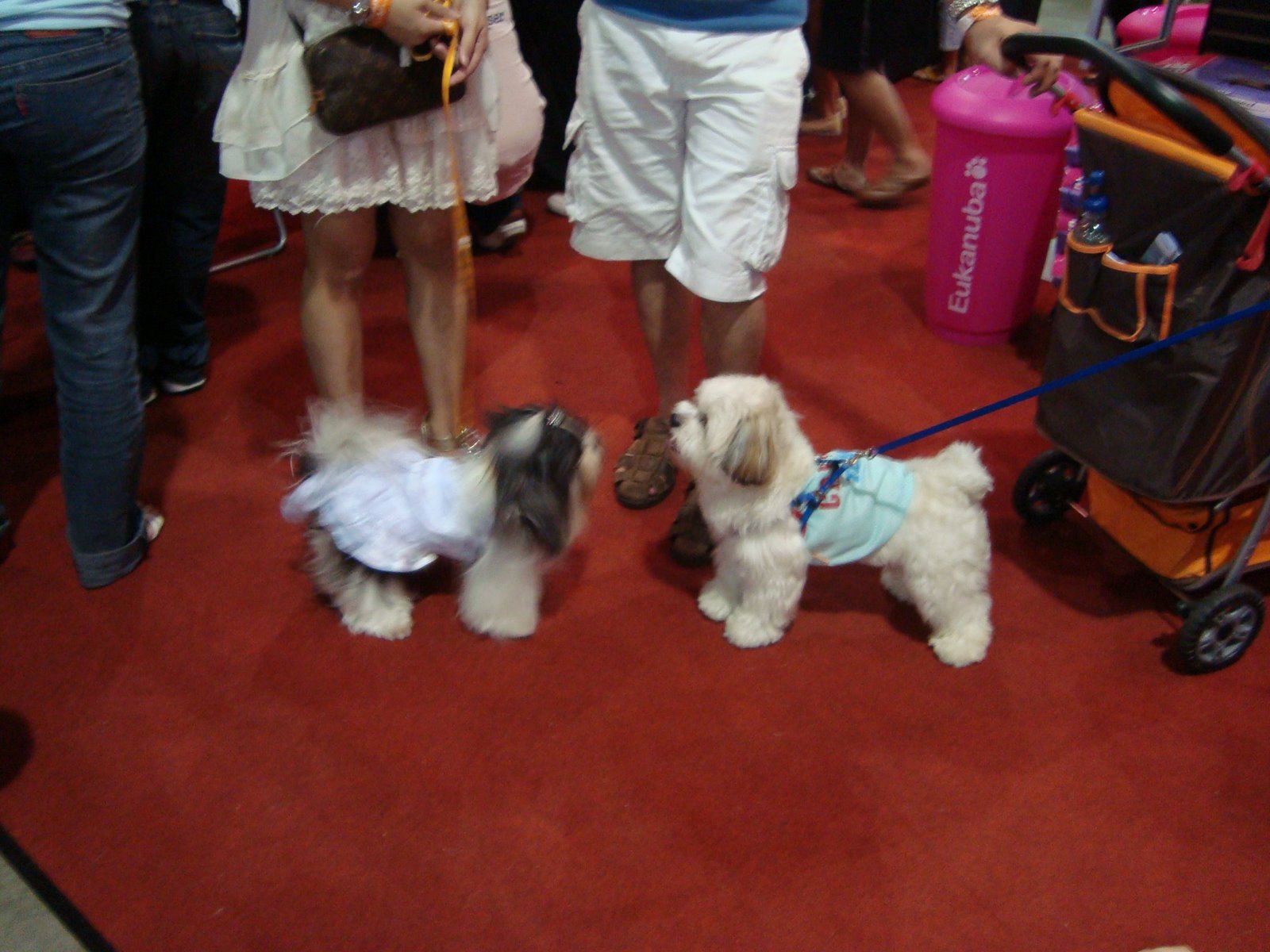 [DSC01405.JPG]