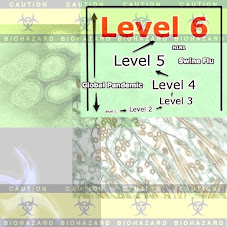 The Next Pandemic