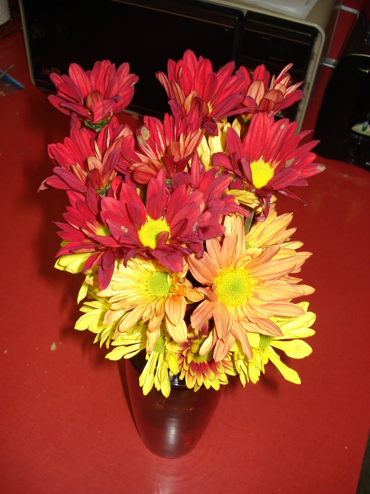 [DSC01497.JPG]