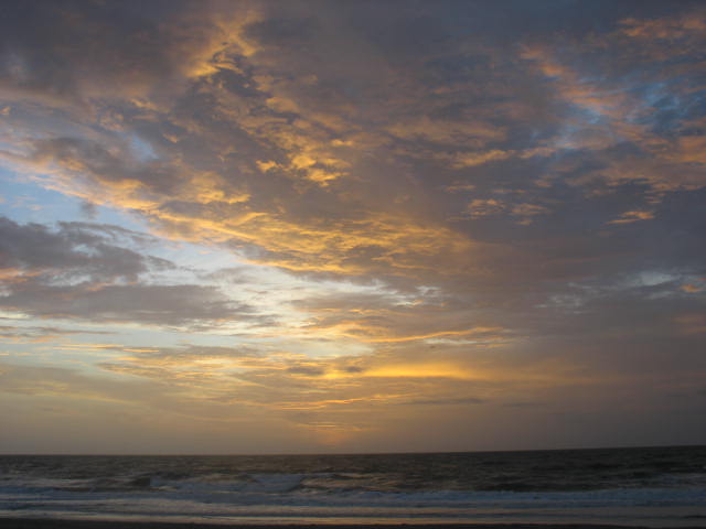 [IMG_0043.JPG]