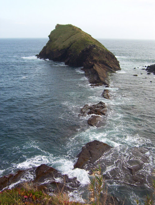 Vue 2 de Sao Miguel