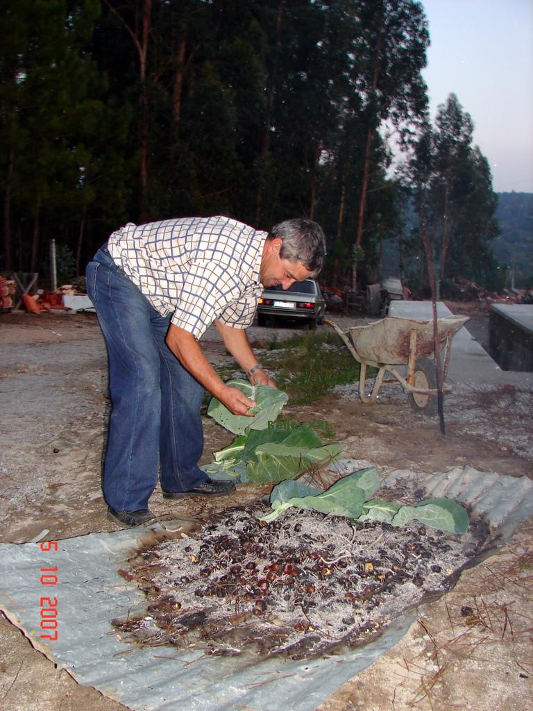 [antoniopovinho_1316.JPG]