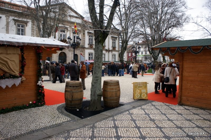Beijós XXI (2005 2009) Caixotes do Lixo"Originais" em Viseu Ideia Xxi Viseu ~ Beijós XXI (2005 2009) Caixotes do Lixo"Originais" em Viseu