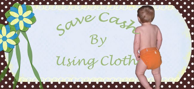 Saving Cash by Using Cloth