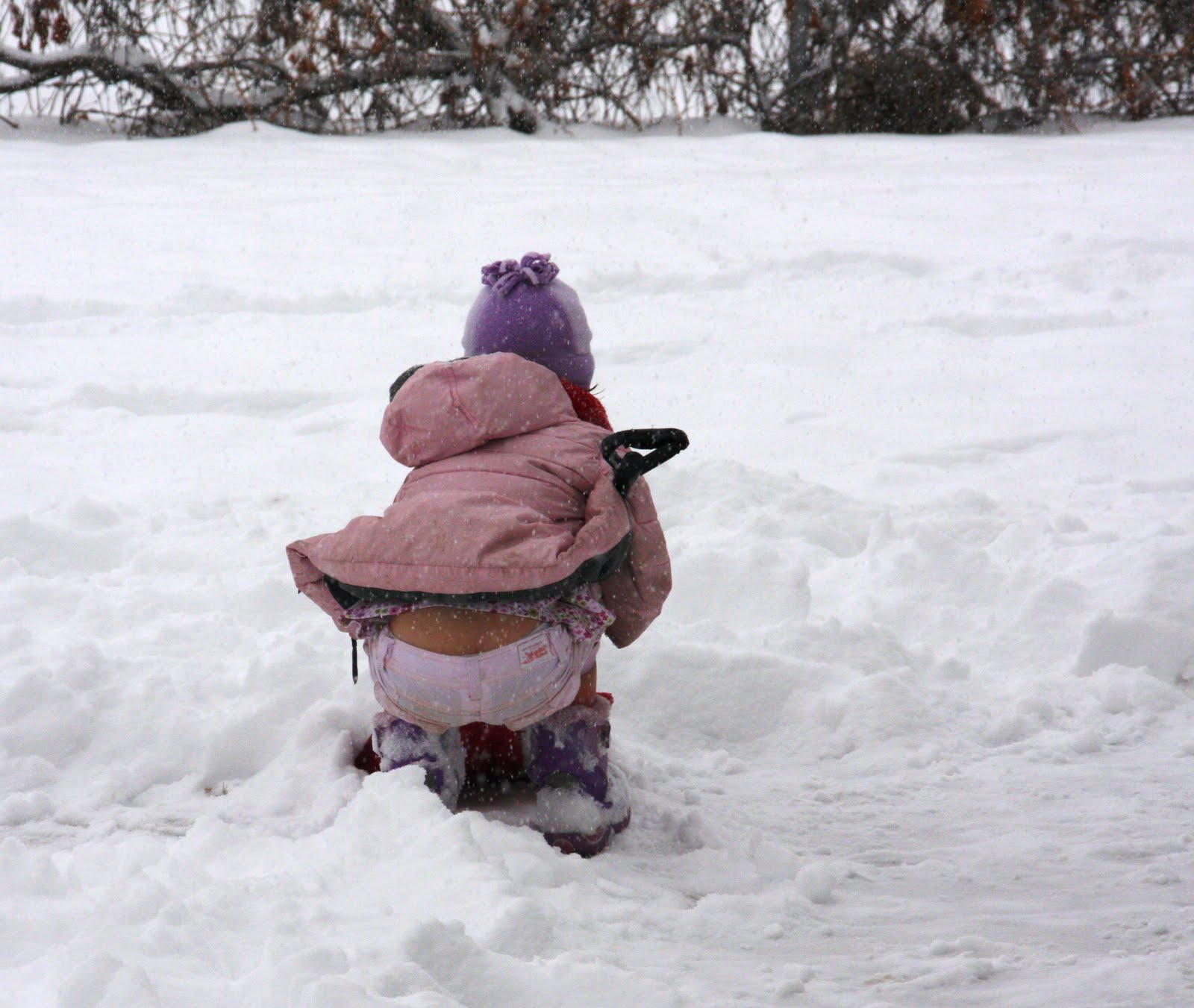 [IMG_2865.JPG]