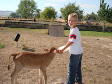 Richard feeding our new baby calf