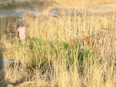 The kids, playing by the stream