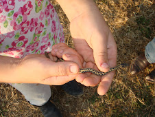 Amira's pet Snake