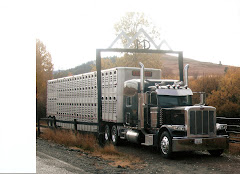 Hillcrest Livestock Transportation, Inc.