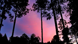 God's palette in the dusk skies over my house...