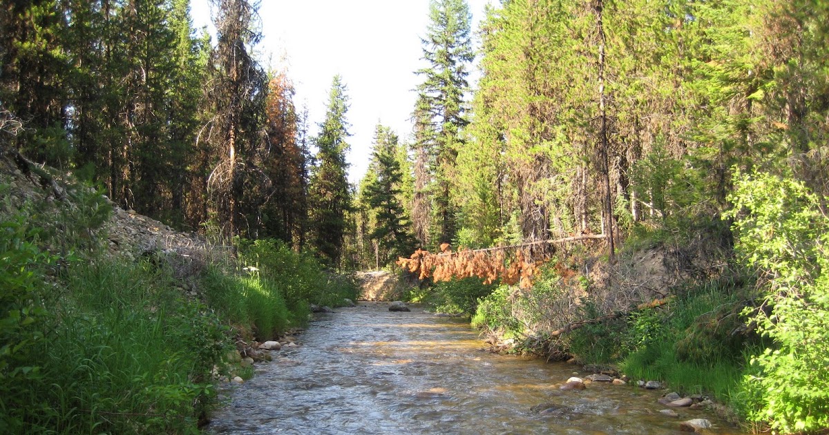 Explore Idaho! Walker Cabin in Orogrande