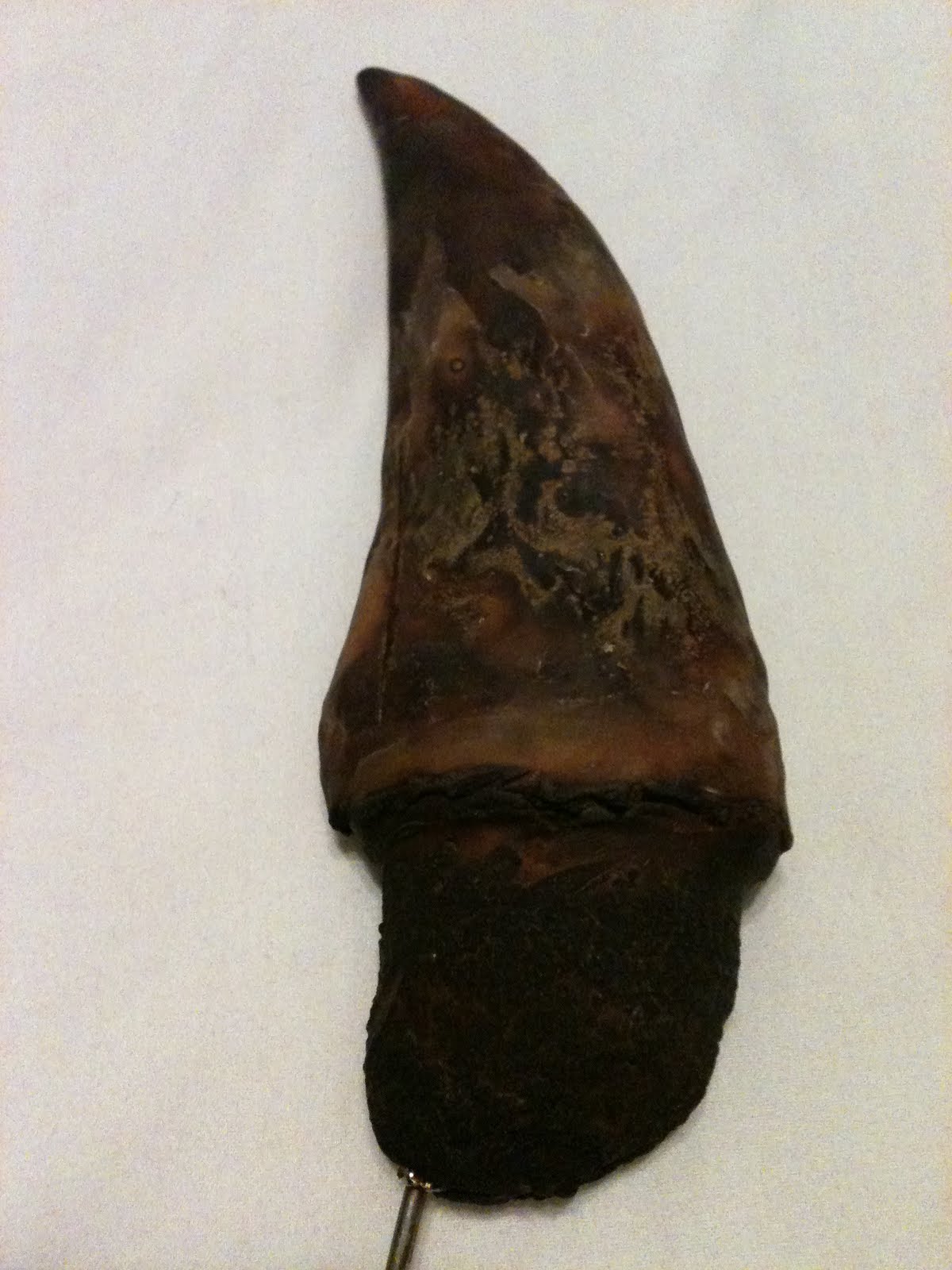 VeryAble Design: Say AHHHH! T-Rex Tooth!