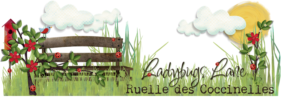 Ruelle des Coccinelles / Ladybugs Lane