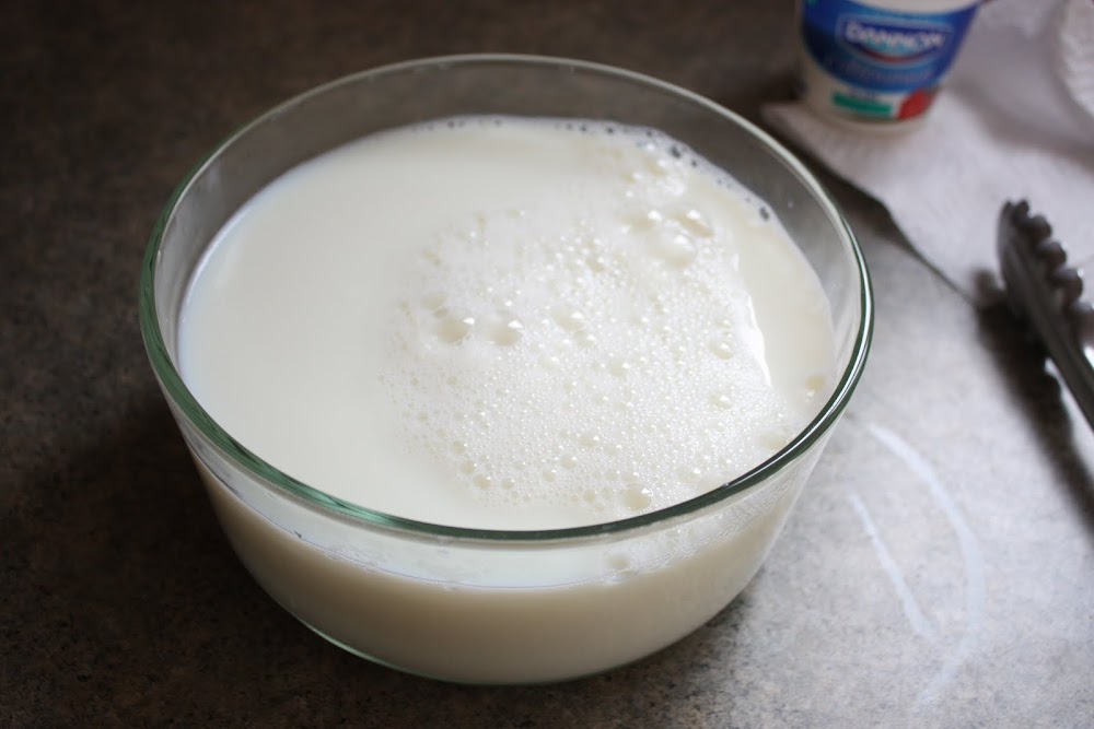 Zaaberry Homemade Yogurt