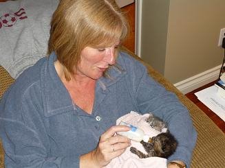 [2008_Sept_Kittens_Cathy.JPG]