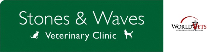Clinica Veterinaria Stones y Waves