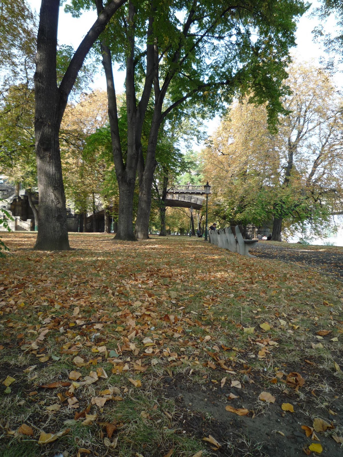 [P1010970.JPG]