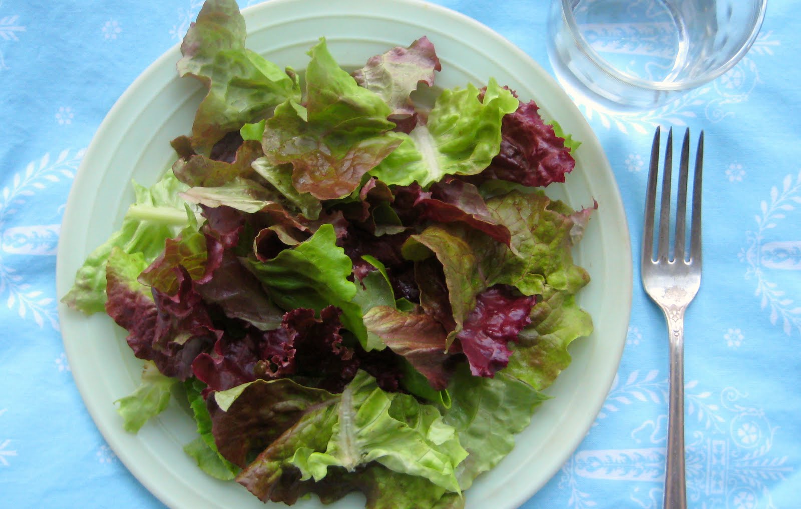 dear little water mama's south of france salad dressing